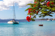 Catamaran boat in the pacific sea with a flame tree in front
