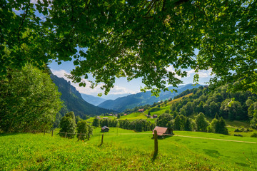 Wall Mural - Mountain rural Switzerland summer landscape