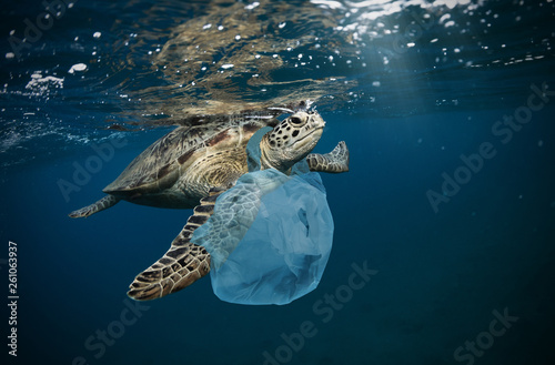 Fotografía Underwater global problem with plastic rubbish