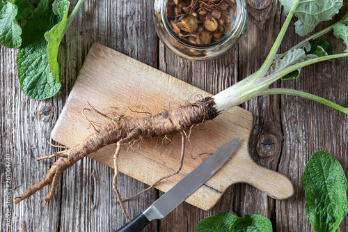 Fotomural Burdock root on a cutting board