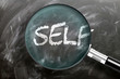 Learn, study and inspect self - pictured as a magnifying glass enlarging word self, symbolizes researching, exploring and analyzing meaning of self, 3d illustration