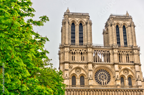 Plakat Paryż, katedra Notre Dame