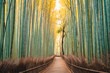 © Wells/Stocksy - Japanese bamboo forest