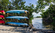 Florida Keys Canoe Launch:  Rental Canoes And Kayaks Wait Beside A Launch Area In Long Key State Park.