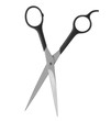 © New Africa - New scissors on white background. Professional hairdresser tool