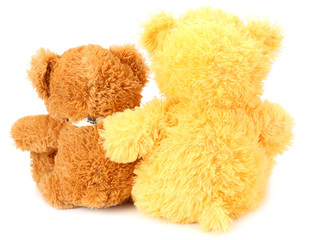 Two toy teddy bears isolated on white background