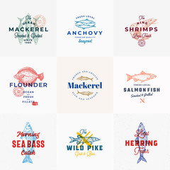 Wall Mural - Premium Seafood Vector Signs or Logo Templates Set. Hand Drawn Vintage Fish Sketches with Classy Typography, Tuna, Mackerel, Salmon, Shrimp, Herring etc. Retro Restaurant and Seafood Emblems.