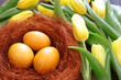 Naturalnie barwione jajka otoczone żółtymi tulipanami