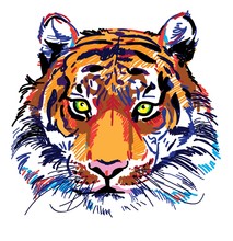 Tiger Head Multicolored Sketch. Indian, Amur Tiger. Drawing Markers, Pop Art. Stylish Poster.