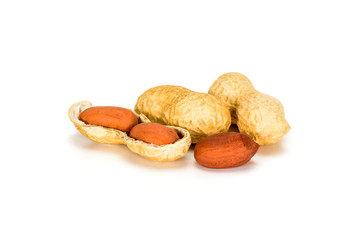 Wall Mural - Peanuts. Two real whole nut with kernels in shell isolated on white background. Peanut macro close up. Full depth of field.