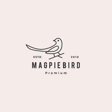 Magpie Bird Logo Vector Icon Illustration
