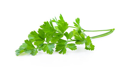 Parsley isolated on a white background