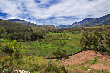 Canvas Print - Papua New Guinea, mountains and valleys