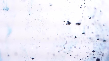 Poster - Close-up of colorful blue powder falling in water on a white background. Water colouring.
