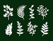 © Natallia - Laser cutting template of leaves, branches, grass. Openwork foliage of herbs isolated on green background. Vector silhouette of elements. Ecology art set for wood carving, paper cut, stamp for die cut