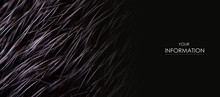 Black Fur Macro Villus Texture Detail Nature Pattern On Blur Background