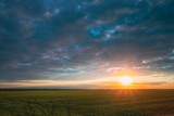 Fototapeta  - Sunset Sunrise Over Field With Young Wheat Sprouts. Bright Dramatic Sky Above Meadow. Countryside Landscape Under Scenic Colorful Sky At Sunset Dawn Sunrise. Skyline Horizon