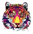 Tiger head Multicolored sketch. Indian, Amur tiger. Drawing markers, pop art. Stylish poster.