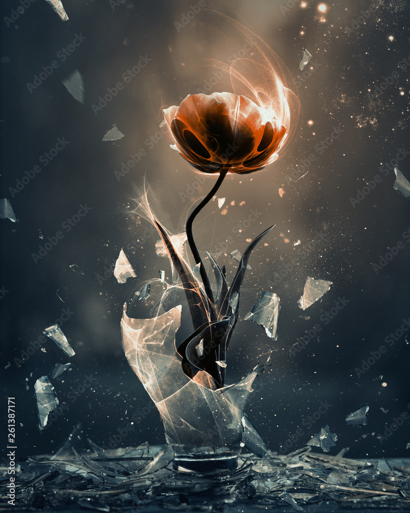 Red tulip breaking forth - obrazy, fototapety, plakaty 