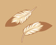 Subtle Eagle Feather Design Elements