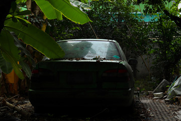 Old car in the backyard