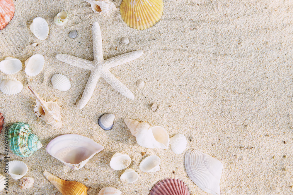 Summer time concept with sea shells and starfish on the beach sand ...