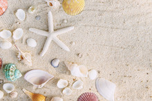 Summer Time Concept With Sea Shells And Starfish On The Beach Sand White Background. Free Space For Your Decoration Top View.