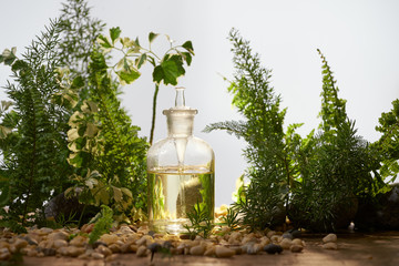 Wall Mural - natural organic botany and scientific glassware, alternative herb medicine, natural skin care beauty