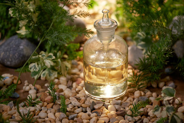 Wall Mural - scientist with natural drug research, natural organic botany and scientific glassware, alternative g
