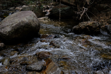 Canvas Print - creek water stream waterfall flowing in forest at dusk