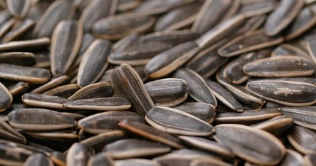 Canvas Print - Sunflower seed in rotation