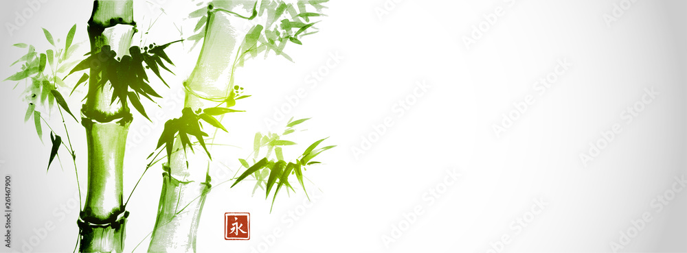 Green bamboo trees on white background. Traditional Japanese ink wash painting sumi-e.  Hieroglyph- eternity  - obrazy, fototapety, plakaty 