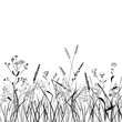 Seamless pattern grass strip. Vector Illustration