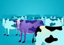 Purple Cow Stand Out From Ordinary Cows