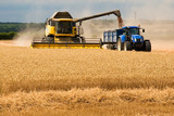 Fototapeta Tęcza - Farming in UK Combine Harvester Loading Tractor