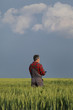 © sima - Agriculture, farmer examining wheat field using tablet