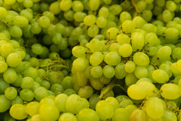  White wine grapes. Raw fruit background.