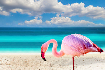 Obraz na płótnie bahamy dominikana kuba