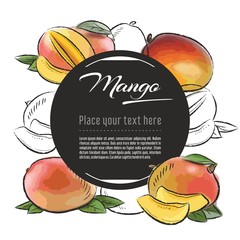 Wall Mural - Vector sketch Mango banner on white background. With place for text. Hand drawn sketch fruit graphic design	