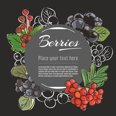 Wall Mural - rowan berry vector hand drawn healthy food illustration. Fruit design with sketch elements for banner, greeting card	