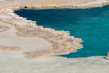 Geyser in old faithful Basin in Yellowstone National Park in Wyoming