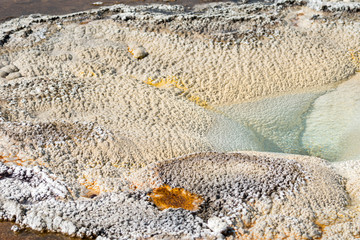 Geyser in old faithful Basin in Yellowstone National Park in Wyoming