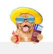 Funny puppy with summer hat and mirrored sunglasses holds airline tickets, passport and tropical cocktail above white banner. isolated on white background