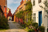 Fototapeta Na ścianę - Beautiful alley in the old town of Stralsund behind the Heiliggeistkloster