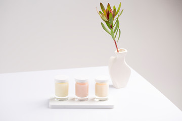 Skincare products. Flat lay photo. Three different jars of facial candle cream are standing on a white background with green decorative plant at vase