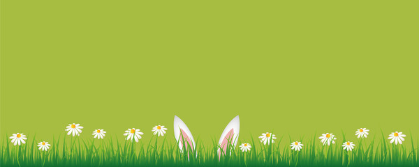 Wall Mural - bunny ears in green meadow with white daisy flowers green banner with copy space vector illustration EPS10