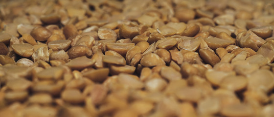 Poster - Сhopped dried peas background. Macro view.