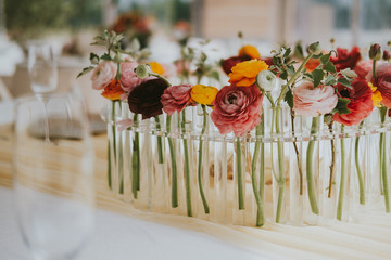 Wall Mural - flowers in pots