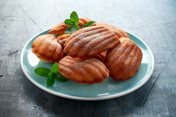 Wall Mural - Madeleine French small cake, cookies shell on blue plate