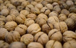 A good harvest of walnuts laid out to dry